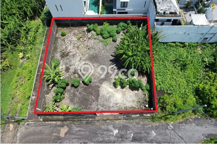 Dijual Tanah Lokasi Canggu, Badung Seluas 600m2 Dijual Tanah Lokasi Canggu, Badung Seluas 600m2