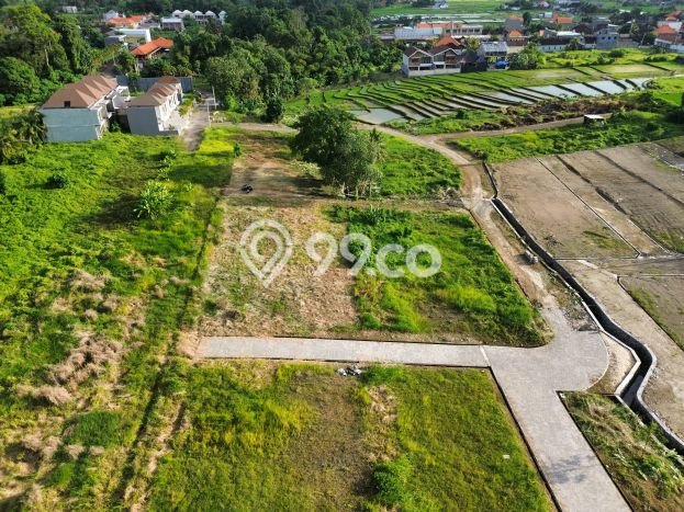 Tanah untuk Dijual di Canggu Badung Luas 433m2 Tanah untuk Dijual di Canggu Badung Luas 433m2
