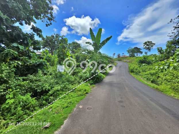 Tanah Kavling Dijual di Badung dengan Spesifikasi 1263m2 Tanah Kavling Dijual di Badung dengan Spesifikasi 1263m2