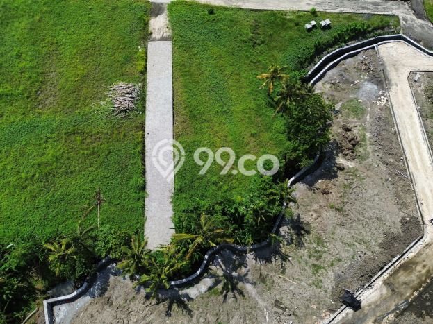 Kavling Tanah untuk Dijual di Belalang, Tabanan, Luas 450m2 Kavling Tanah untuk Dijual di Belalang, Tabanan, Luas 450m2