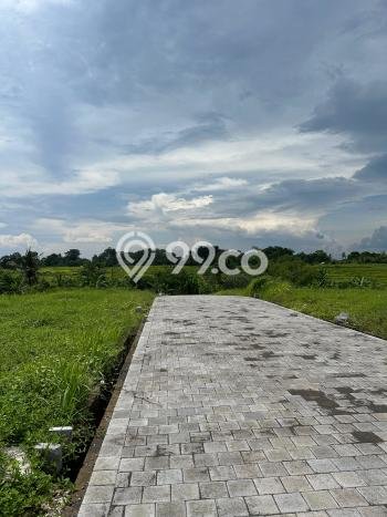 Kavling Tanah untuk Dijual di Canggu, Badung, Luas 442m2 Kavling Tanah untuk Dijual di Canggu, Badung, Luas 442m2