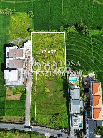HARGA TERBAIK! Tanah Kawasan , Luas 1200m2m², Akses Jalan Utama, Cocok untuk Investasi HARGA TERBAIK! Tanah Kawasan , Luas 1200m2m², Akses Jalan Utama, Cocok untuk Investasi