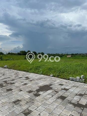 Tanah Siap Bangun Dijual di Tabanan Punya Luas 555m2 Tanah Siap Bangun Dijual di Tabanan Punya Luas 555m2