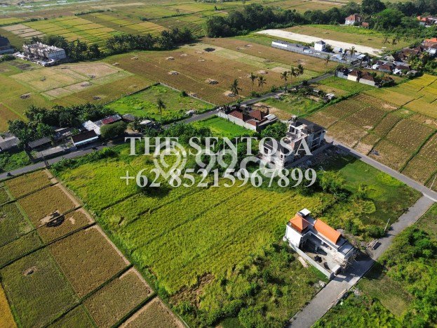 Tanah Dijual Lokasi Strategis di Tabanan dengan Luas 6600m2 Tanah Dijual Lokasi Strategis di Tabanan dengan Luas 6600m2
