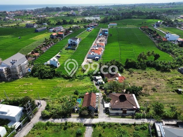 Tanah Kavling Dijual di Badung dengan Spesifikasi 1256m2 Tanah Kavling Dijual di Badung dengan Spesifikasi 1256m2