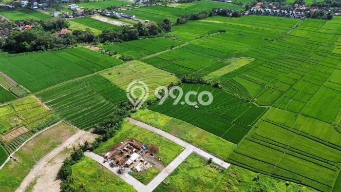 Kavling Tanah untuk Dijual di canggu, Badung, Luas 433m2 Kavling Tanah untuk Dijual di canggu, Badung, Luas 433m2