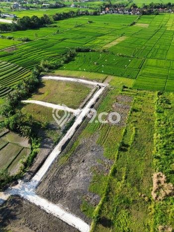 Tanah Dijual di Badung Seluas 433m2 Strategis Tanah Dijual di Badung Seluas 433m2 Strategis