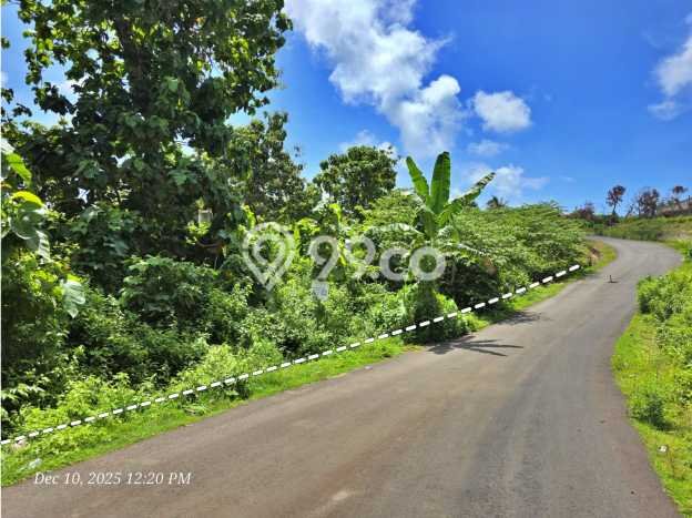 Tanah Kavling Dijual di Badung dengan Spesifikasi 1263m2 Tanah Kavling Dijual di Badung dengan Spesifikasi 1263m2