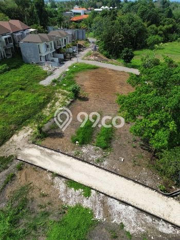 Tanah Kavling Dijual di Tabanan dengan Spesifikasi 390m2 Tanah Kavling Dijual di Tabanan dengan Spesifikasi 390m2