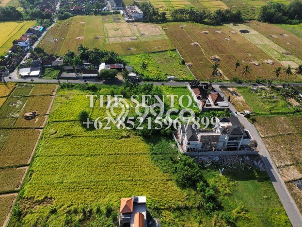 Tanah Dijual Lokasi Strategis di Tabanan dengan Luas 6600m2 Tanah Dijual Lokasi Strategis di Tabanan dengan Luas 6600m2