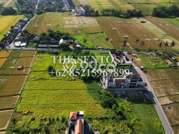 Tanah Dijual Lokasi Strategis di Tabanan dengan Luas 6600m2 Tanah Dijual Lokasi Strategis di Tabanan dengan Luas 6600m2