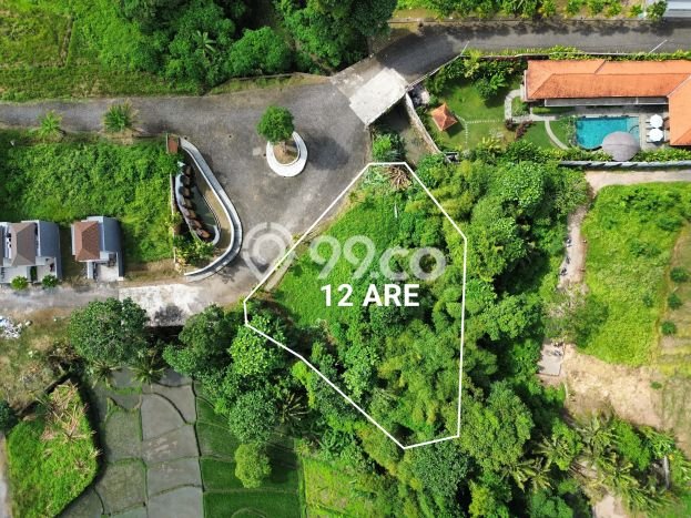 Land Rental Tanah di , Luas 1200m2m², Lokasi Potensial Land Rental Tanah di , Luas 1200m2m², Lokasi Potensial