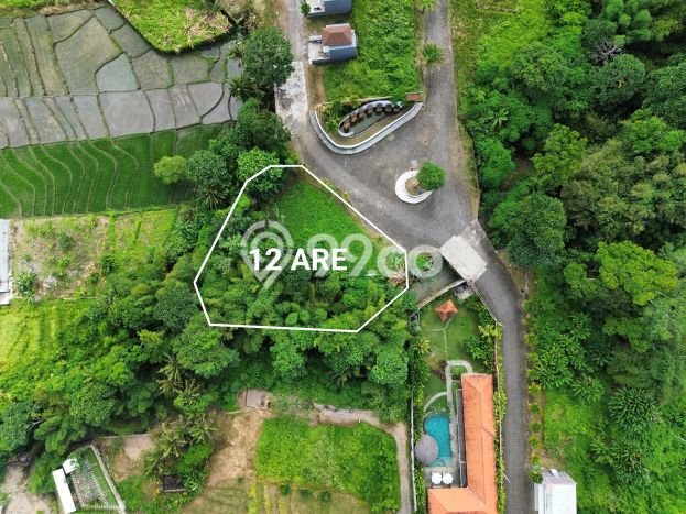 Land Rental Tanah di , Luas 1200m2m², Lokasi Potensial Land Rental Tanah di , Luas 1200m2m², Lokasi Potensial
