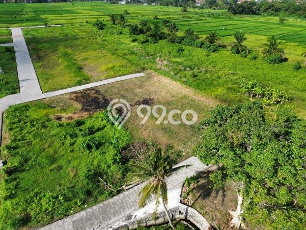 Tanah Dijual Lokasi Strategis di Tabanan dengan Luas 250m2 Tanah Dijual Lokasi Strategis di Tabanan dengan Luas 250m2