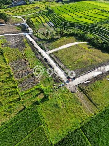 Tanah Dijual Area Strategis di Nyanyi Badung 236m2 Tanah Dijual Area Strategis di Nyanyi Badung 236m2