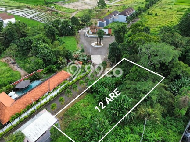 Tanah Disewakan Lokasi Tabanan Seluas 1200m2 Strategis dan Aman Tanah Disewakan Lokasi Tabanan Seluas 1200m2 Strategis dan Aman