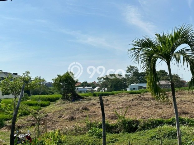 Tanah Dijual Area Strategis di canggu Badung 1190m2 Tanah Dijual Area Strategis di canggu Badung 1190m2