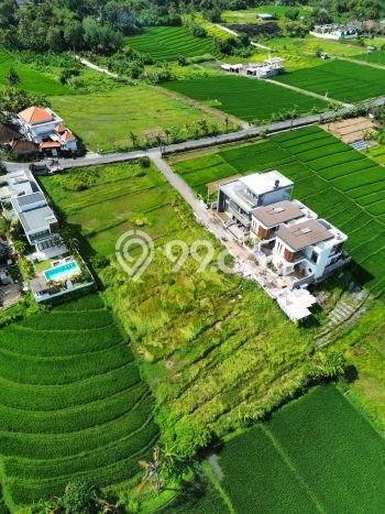 Tanah Kawasan , Luas 1200m2m², Status SHM, Akses Badung, Badung Tanah Kawasan , Luas 1200m2m², Status SHM, Akses Badung, Badung