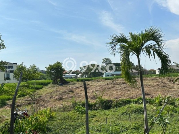 Tanah Dijual Area Strategis di canggu Badung 1190m2 Tanah Dijual Area Strategis di canggu Badung 1190m2
