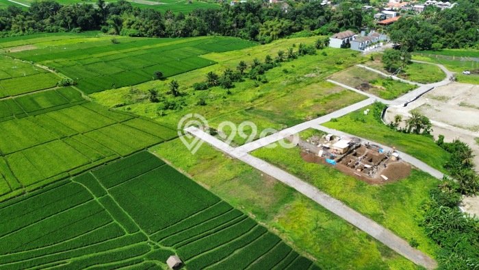 Tanah Dijual Lokasi Strategis di Badung dengan Luas 390m2 Tanah Dijual Lokasi Strategis di Badung dengan Luas 390m2