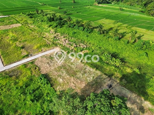 Dijual Tanah Lokasi Pererenan, Badung Seluas 433m2 Dijual Tanah Lokasi Pererenan, Badung Seluas 433m2