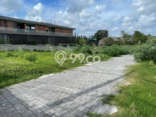 Tanah Investasi Dijual di Badung Punya Luas 1256m2 Tanah Investasi Dijual di Badung Punya Luas 1256m2
