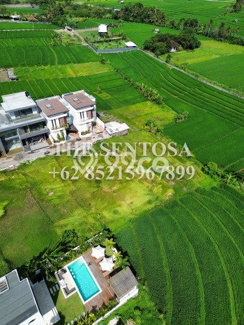 HARGA TERBAIK! Tanah Kawasan , Luas 1200m2m², Akses Jalan Utama, Cocok untuk Investasi HARGA TERBAIK! Tanah Kawasan , Luas 1200m2m², Akses Jalan Utama, Cocok untuk Investasi