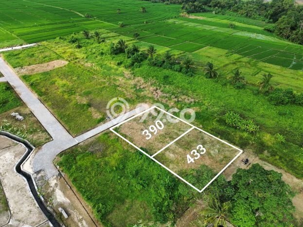 Tanah untuk Dijual di Canggu Badung Luas 433m2 Tanah untuk Dijual di Canggu Badung Luas 433m2