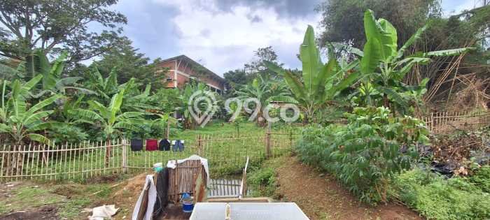 Kavling Tanah Dijual di Sukasari Bandung Spesifikasi 1150m2 Kavling Tanah Dijual di Sukasari Bandung Spesifikasi 1150m2