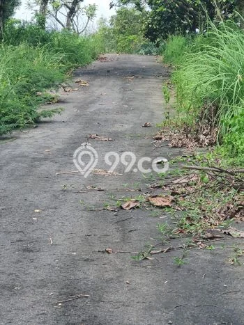 Lahan untuk Dijual di Babakan Madang Bogor Luas 1485m2 Lahan untuk Dijual di Babakan Madang Bogor Luas 1485m2