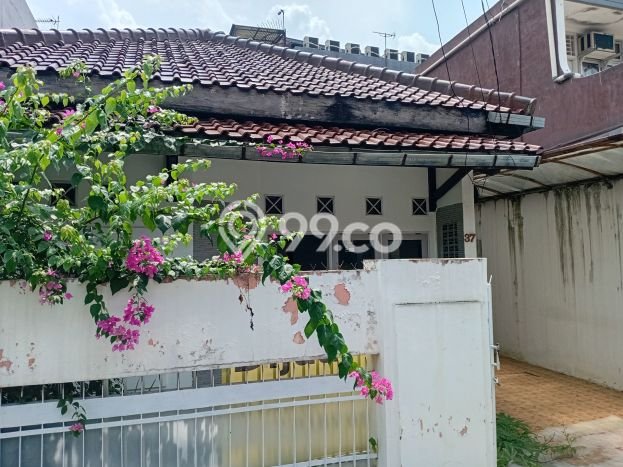 Dijual Rumah Premium dengan Fasilitas Sekitar Lengkap di Tebet, Jakarta Selatan Dijual Rumah Premium dengan Fasilitas Sekitar Lengkap di Tebet, Jakarta Selatan