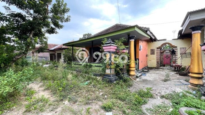 Tanah Dijual Lokasi Teras, Boyolali dengan Luas Tanah 511m2 dan Status SHM Tanah Dijual Lokasi Teras, Boyolali dengan Luas Tanah 511m2 dan Status SHM