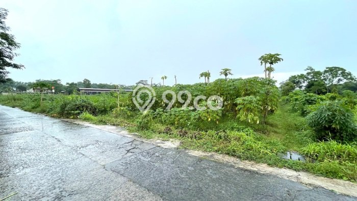 Tanah di Teras, Boyolali Luas 1000m2 Dijual Segera Tanah di Teras, Boyolali Luas 1000m2 Dijual Segera