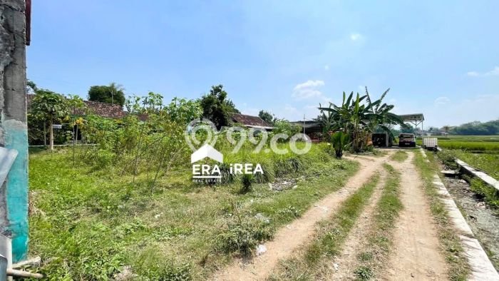 Kavling Tanah di Banyudono Dijual Luas 600m2 Legalitas SHM Kavling Tanah di Banyudono Dijual Luas 600m2 Legalitas SHM