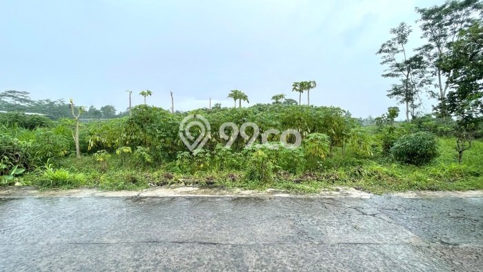 Tanah di Teras, Boyolali Luas 1000m2 Dijual Segera Tanah di Teras, Boyolali Luas 1000m2 Dijual Segera