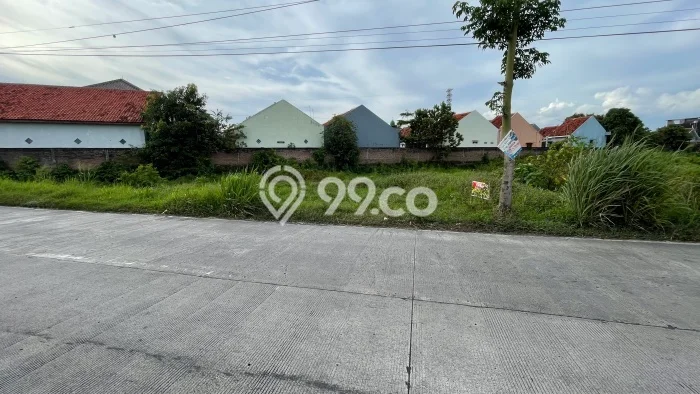 Kavling Tanah di Delanggu Dijual Luas 2900m2 Legalitas SHM Kavling Tanah di Delanggu Dijual Luas 2900m2 Legalitas SHM