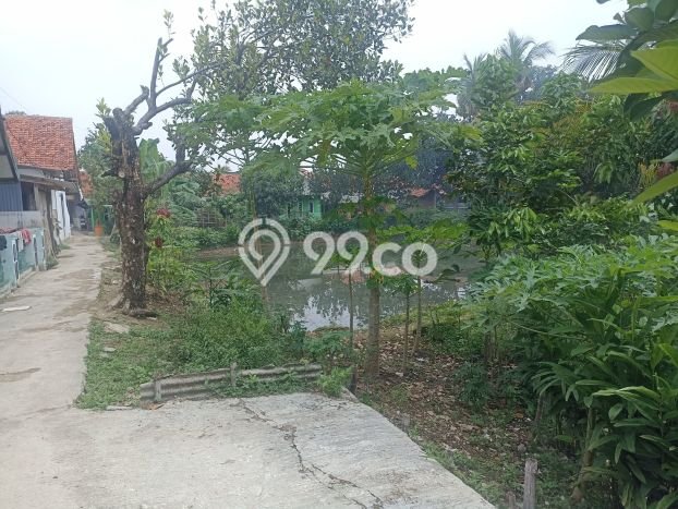 Tanah Dijual Area Strategis di Purwakarta Kota Purwakarta 1236m2 Tanah Dijual Area Strategis di Purwakarta Kota Purwakarta 1236m2