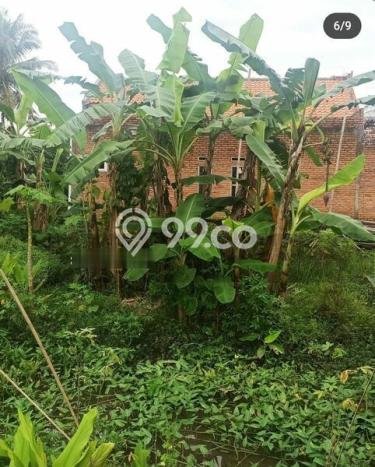 Tanah Dijual Area Strategis di Purwakarta Kota Purwakarta 1236m2 Tanah Dijual Area Strategis di Purwakarta Kota Purwakarta 1236m2