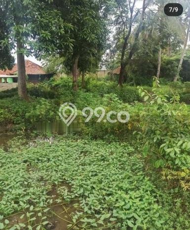 Tanah Dijual Area Strategis di Purwakarta Kota Purwakarta 1236m2 Tanah Dijual Area Strategis di Purwakarta Kota Purwakarta 1236m2