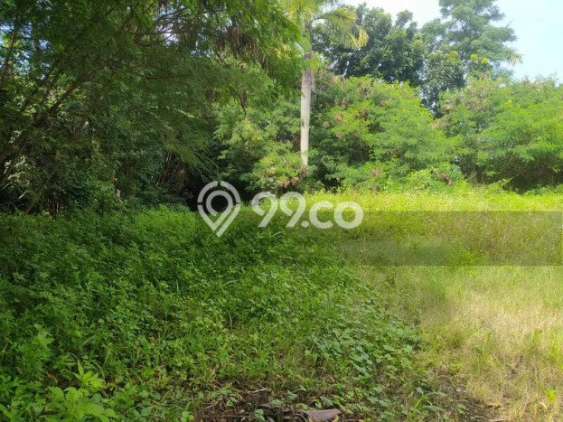 Tanah Kavling Dijual di Purwakarta Kota, Purwakarta dengan Luas Tanah 8910m2 Tanah Kavling Dijual di Purwakarta Kota, Purwakarta dengan Luas Tanah 8910m2
