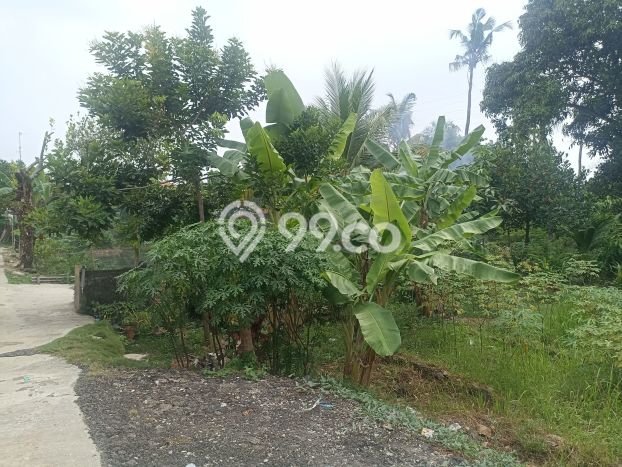 Tanah Dijual Area Strategis di Purwakarta Kota Purwakarta 1236m2 Tanah Dijual Area Strategis di Purwakarta Kota Purwakarta 1236m2