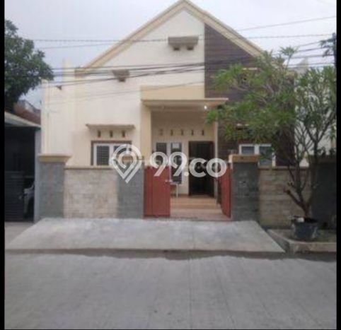 Rumah Luas Asri 2 KT Siap Huni di Tlogosari Semarang Rumah Luas Asri 2 KT Siap Huni di Tlogosari Semarang