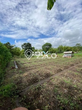 Tanah untuk Dijual Lokasi Dau, Malang Luas 1200m2 SHM Tanah untuk Dijual Lokasi Dau, Malang Luas 1200m2 SHM