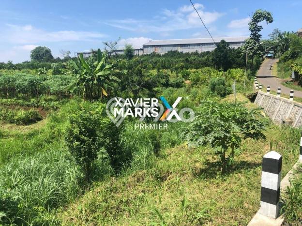 Lahan Investasi Lokasi Dau Malang SHM Lahan Investasi Lokasi Dau Malang SHM