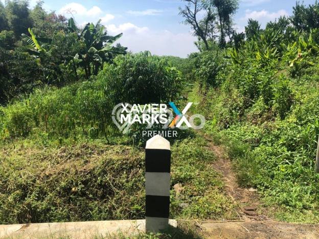 Lahan Investasi Lokasi Dau Malang SHM Lahan Investasi Lokasi Dau Malang SHM