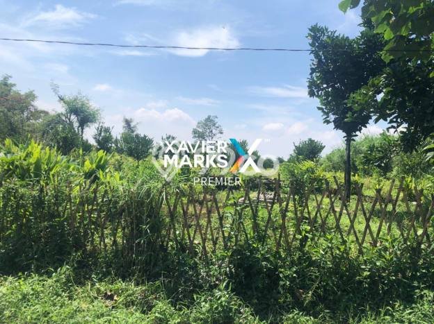 Lahan Investasi Lokasi Dau Malang SHM Lahan Investasi Lokasi Dau Malang SHM