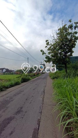 Kavling Tanah Dijual di Pakis Malang Spesifikasi 2269m2 Kavling Tanah Dijual di Pakis Malang Spesifikasi 2269m2