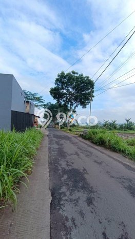 Kavling Tanah Dijual di Pakis Malang Spesifikasi 2269m2 Kavling Tanah Dijual di Pakis Malang Spesifikasi 2269m2