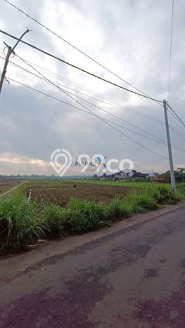 Kavling Tanah Dijual di Pakis Malang Spesifikasi 2269m2 Kavling Tanah Dijual di Pakis Malang Spesifikasi 2269m2