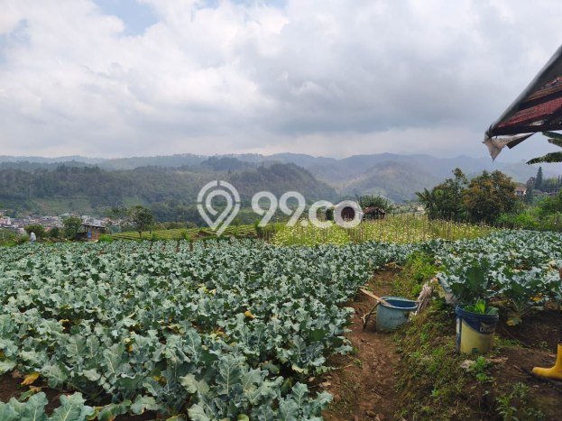 Tanah Dijual Lokasi Bumiaji, Batu Luas 2563m2 Legalitas Aman Tanah Dijual Lokasi Bumiaji, Batu Luas 2563m2 Legalitas Aman